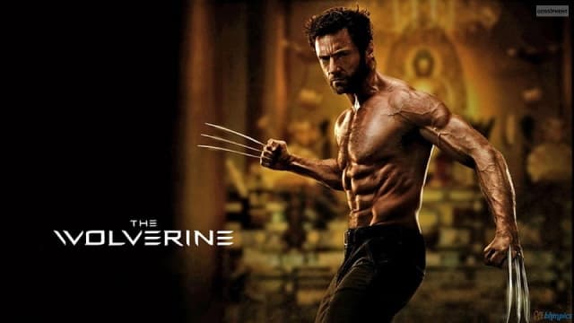 The Wolverine (2013)