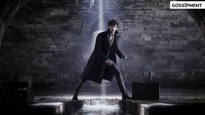 Cover Image for Fantastic Beasts 3 : The Secrets of Dumbledore Sets New 2022 Release Date