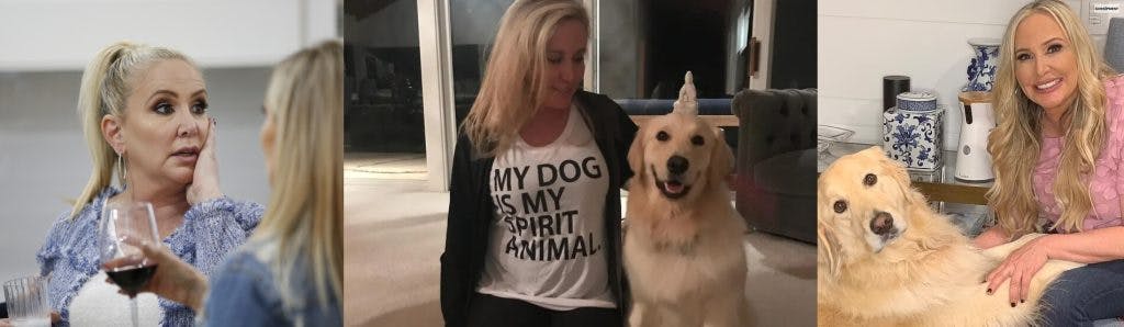 Cover Image for Shannon Beador Was Drunk Driving With Her Dog: Animal Control Is Investigating It