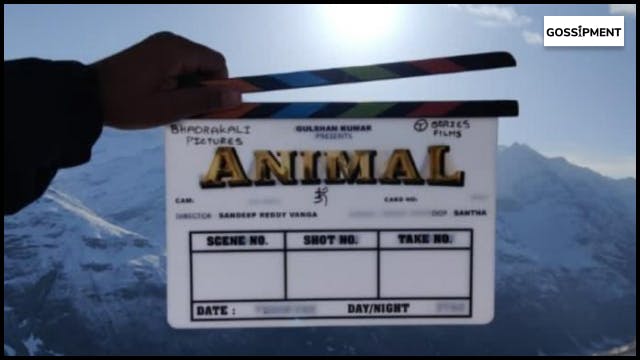Animal” movie