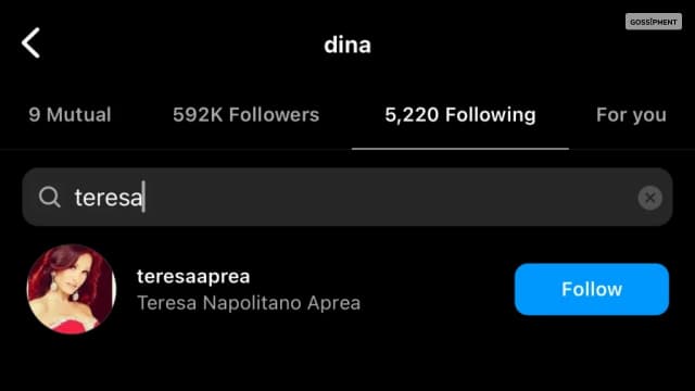 Dina Manzo Has Pressed the Button for Teresa Giudice and Luis Ruelas Amid a Possible Feud